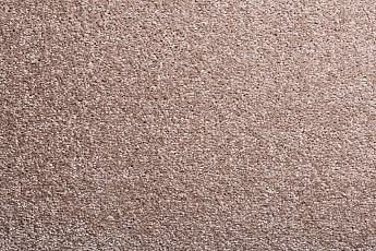 Ковролин Condor Carpets Bologna 75 фото 1 | FLOORDEALER